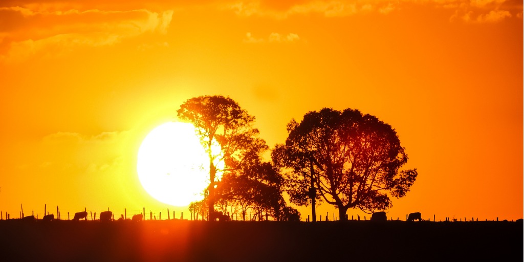 Imagem de capa - Pensamentos altos
