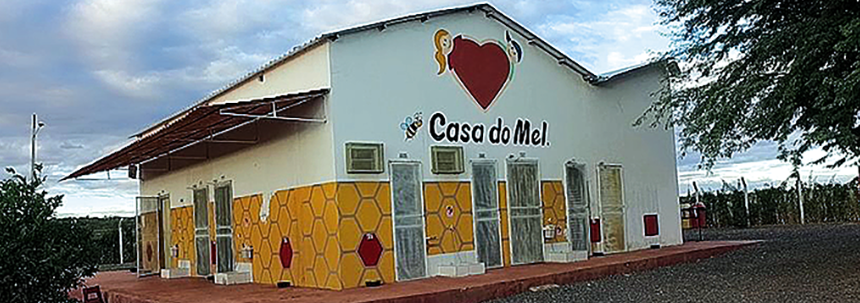 Imagem de capa - A verdade sobre o time de futebol e a fábrica de mel