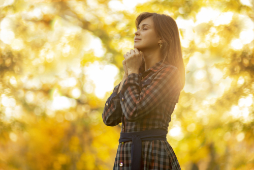 shutterstock_12234156701