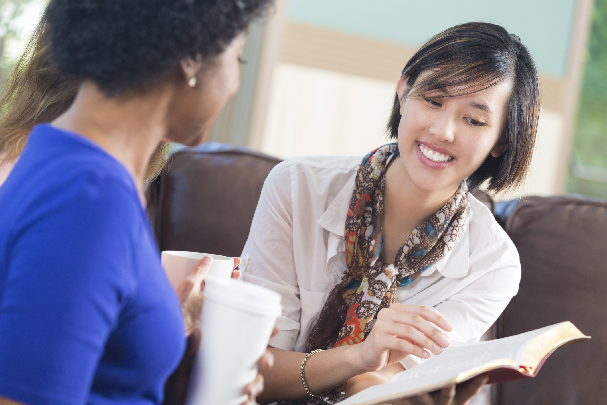 Imagem de capa - Critério Divino