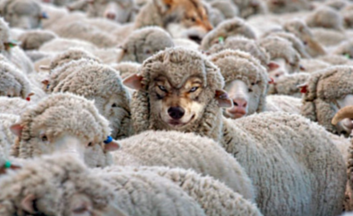 Imagem de capa - Quem pode enganar Deus?