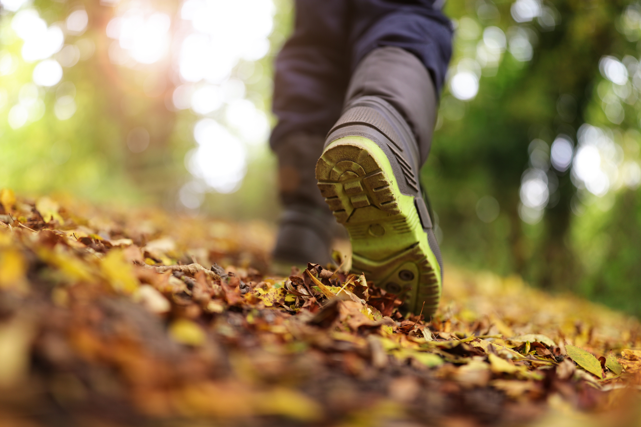 Walking in autumn or winter