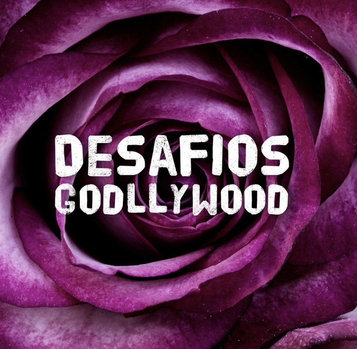 Imagem de capa - Novos Desafios Godllywood