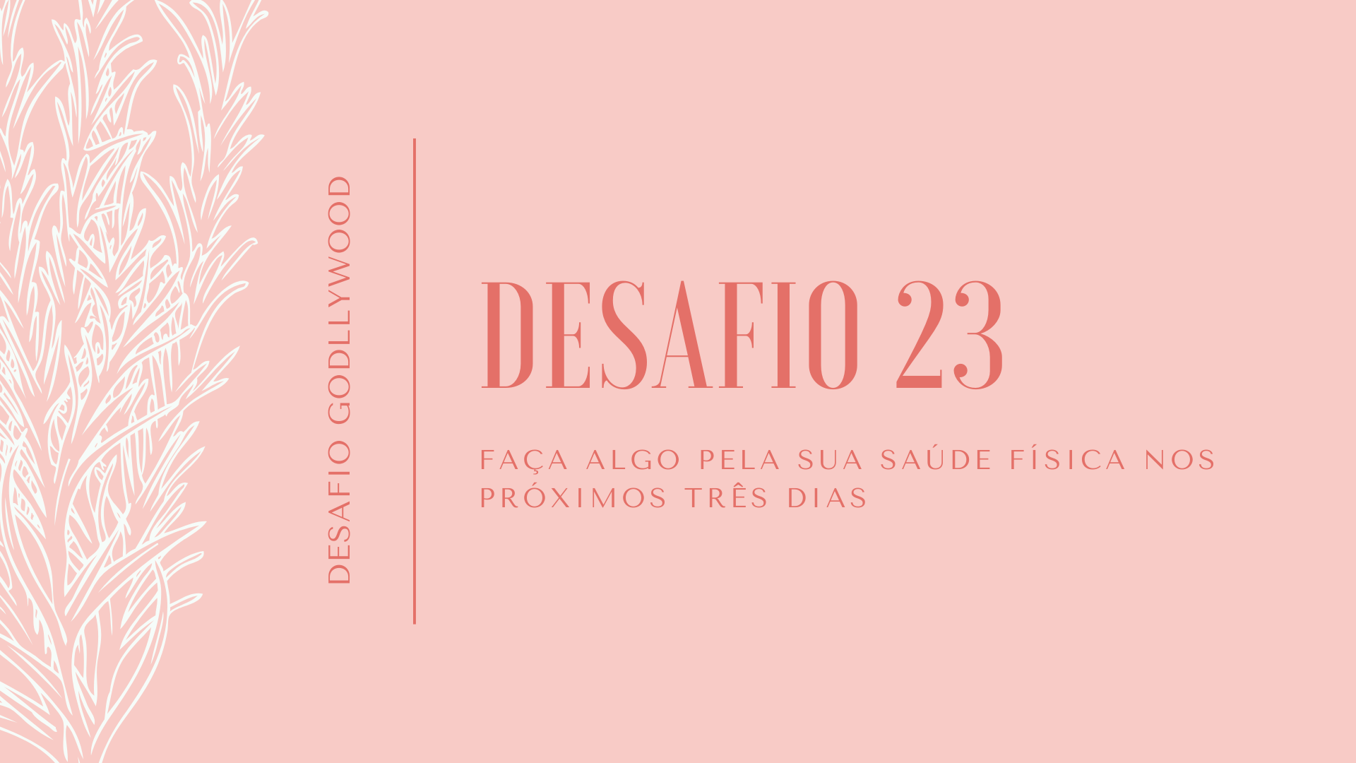 23desafiogodllywood