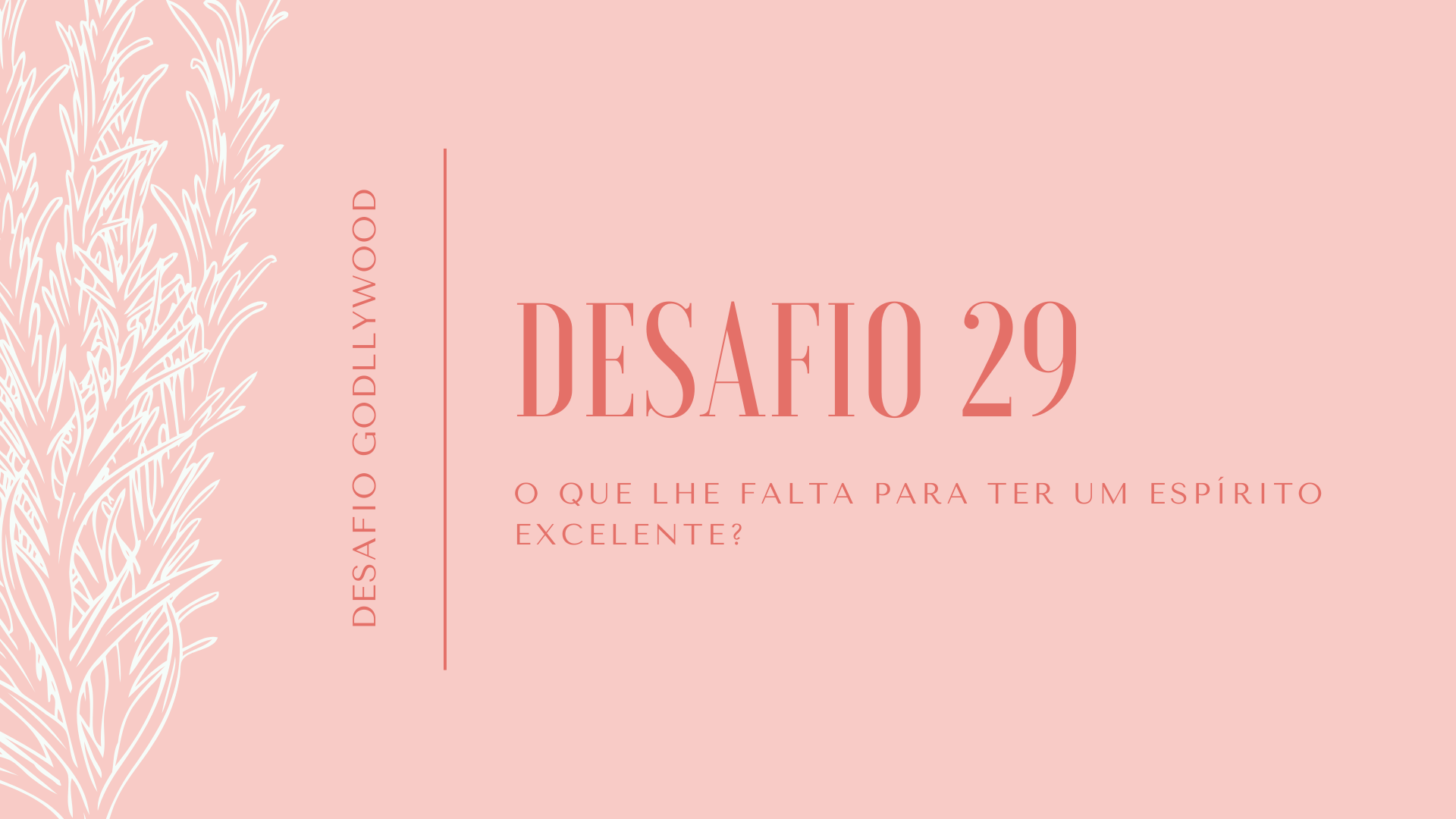 29desafio
