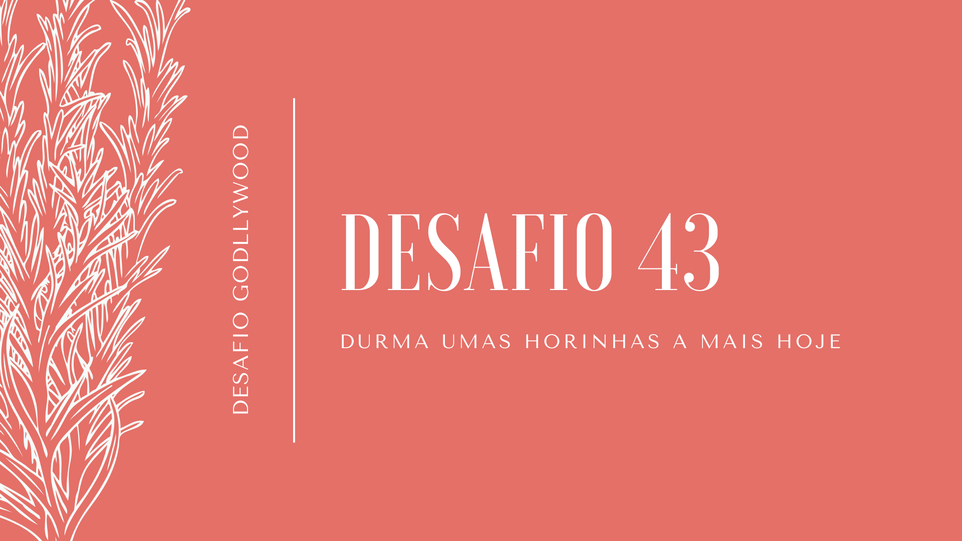 43-desafio-godllywood