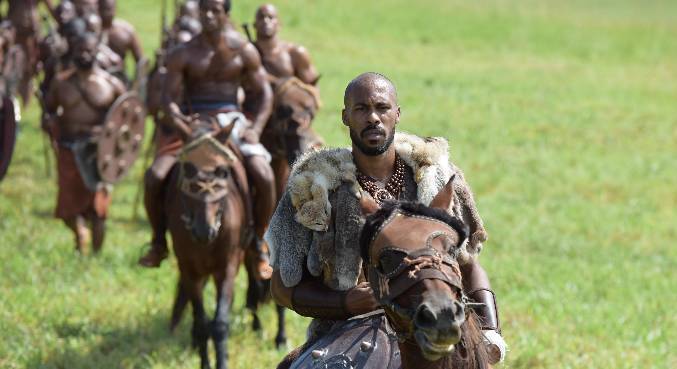 Imagem de capa - Quais são as principais curiosidades sobre os amonitas?