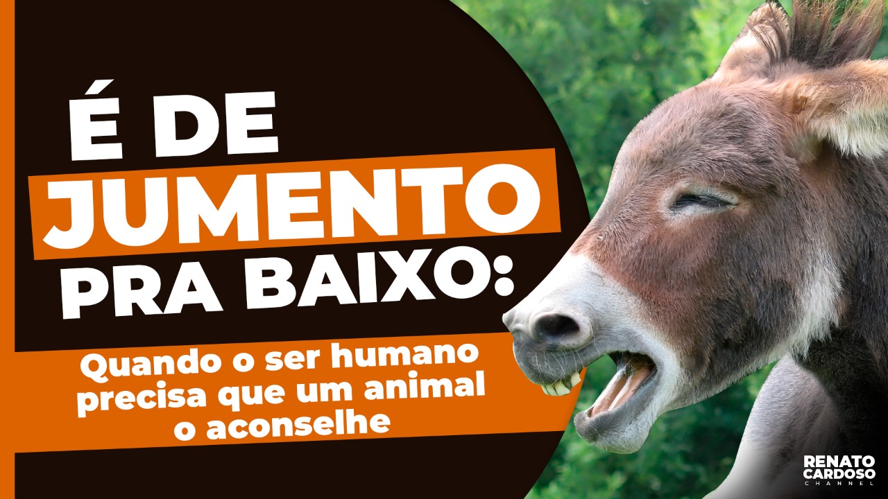 Imagem de capa - #641 É DE JUMENTO PRA BAIXO: QUANDO O SER HUMANO PRECISA QUE UM ANIMAL O ACONSELHE