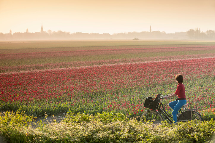 A importância de plantar boas sementes na vida
