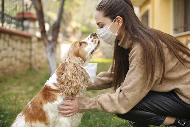 Imagem de capa - COVID-19: Vacina que protege animais avança