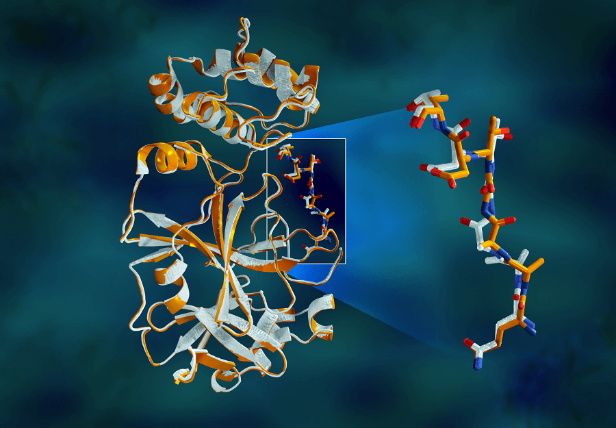 Imagem de capa - Cientistas reproduzem &#8220;coração&#8221; do novo coronavírus para teste de inibidor