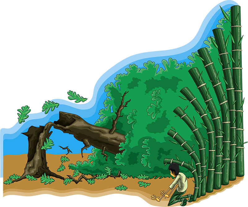 Imagem de capa - O turrão, o carvalho e o bambu