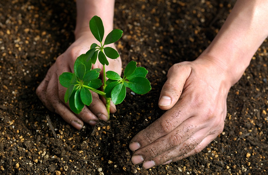Imagem de capa - Qual o único tipo de pessoa que permanece no Reino de Deus?
