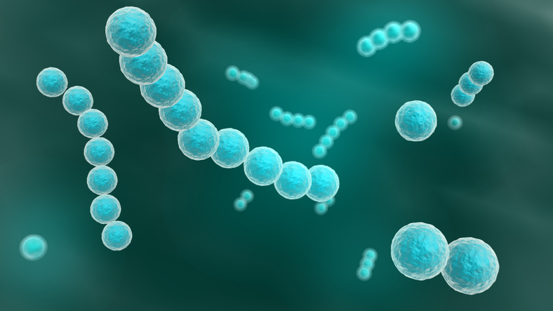 Imagem de capa - Vírus raro causa sintomas parecidos aos do Ebola