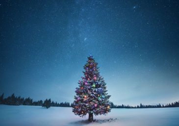 Natal: Descubra o verdadeiro significado dessa comemoração   – Portal Oficial da Igreja Universal do Reino de Deus