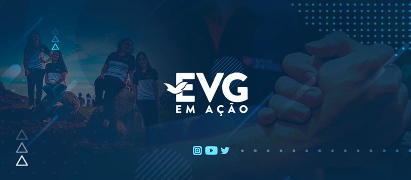 Imagem de capa - Veja o trabalho realizado pelos projetos da EVG em 2020