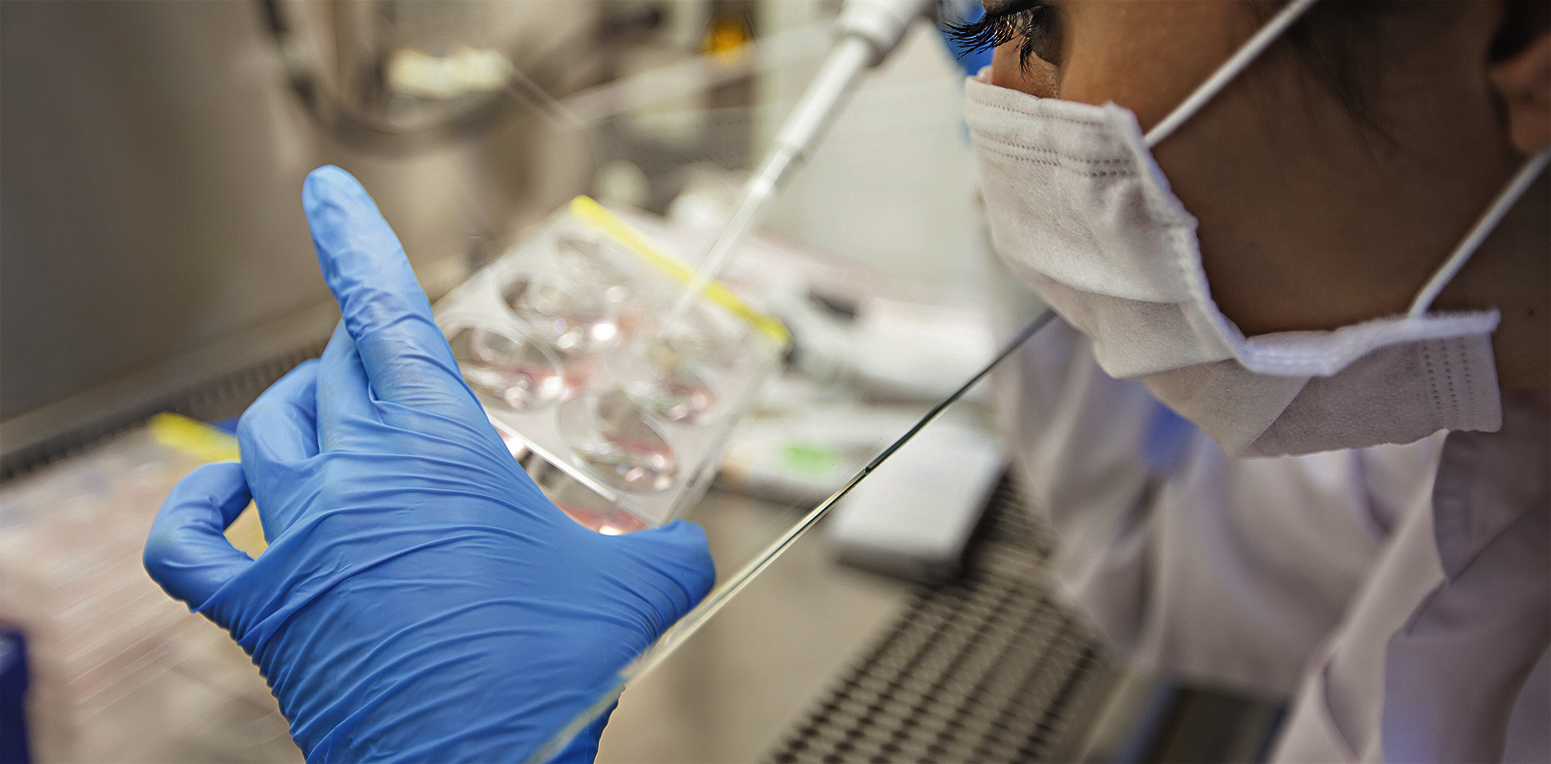 Imagem de capa - Vacina contra a Covid-19: um passo de cada vez