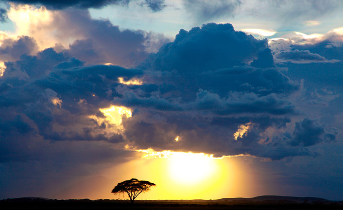 Imagem de capa - La matematica di Dio