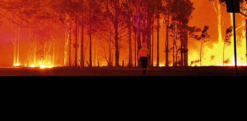 Universal auxilia vítimas de incêndio na Austrália