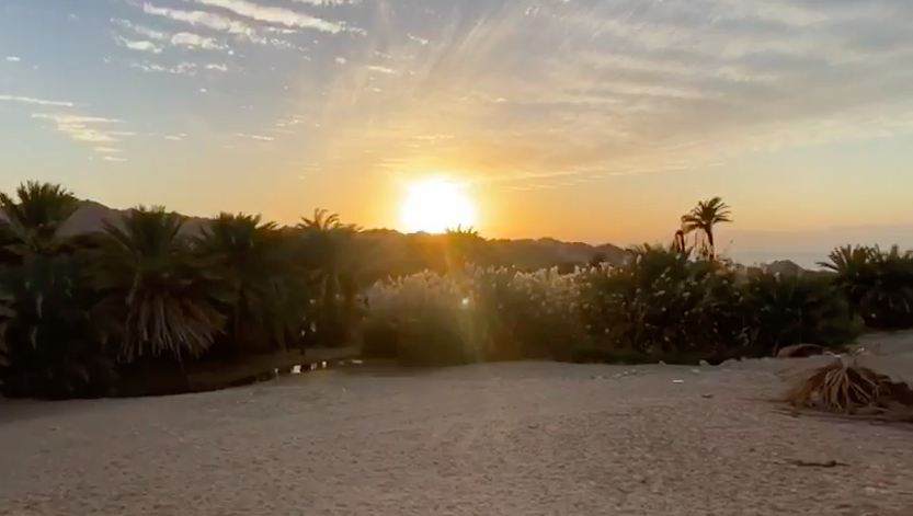 Imagem de capa - An Oasis in the middle of the desert