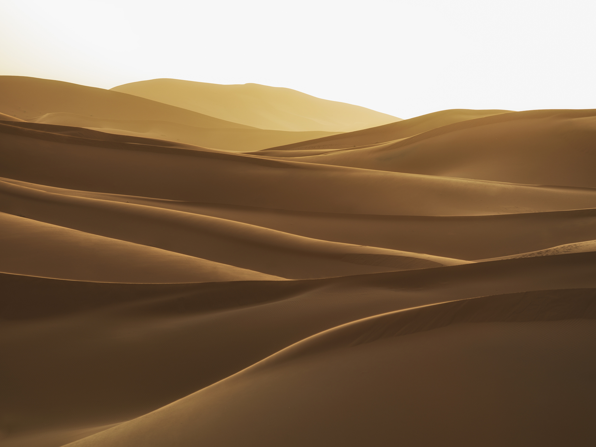 Imagem de capa - Deserto