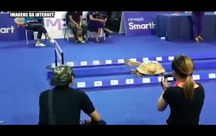 Imagem de capa - Direction is More Important than Speed