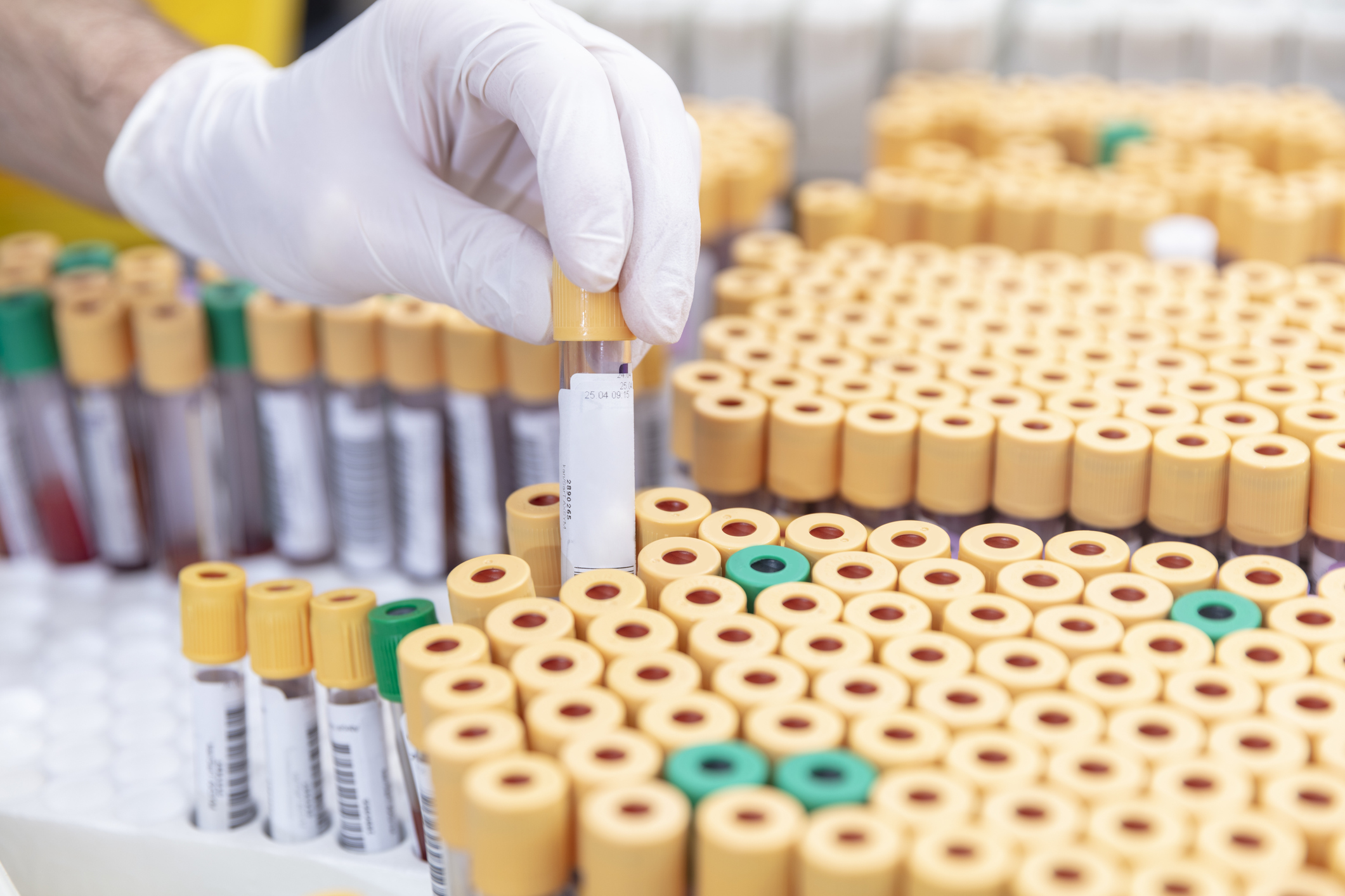 Scientist handling test tubes in laboratory, COVID-19