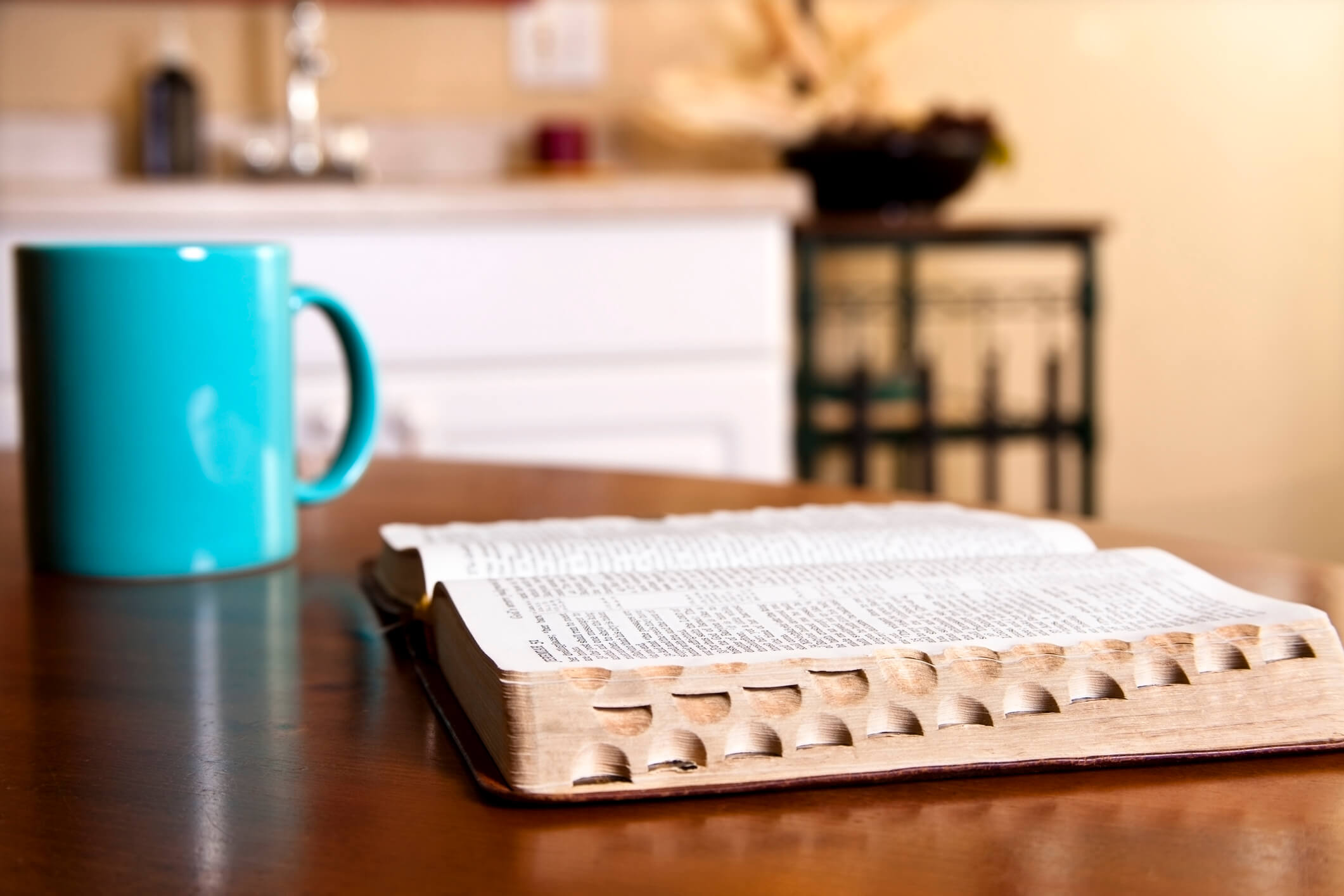 Imagem de capa - Tudo passa, menos ela