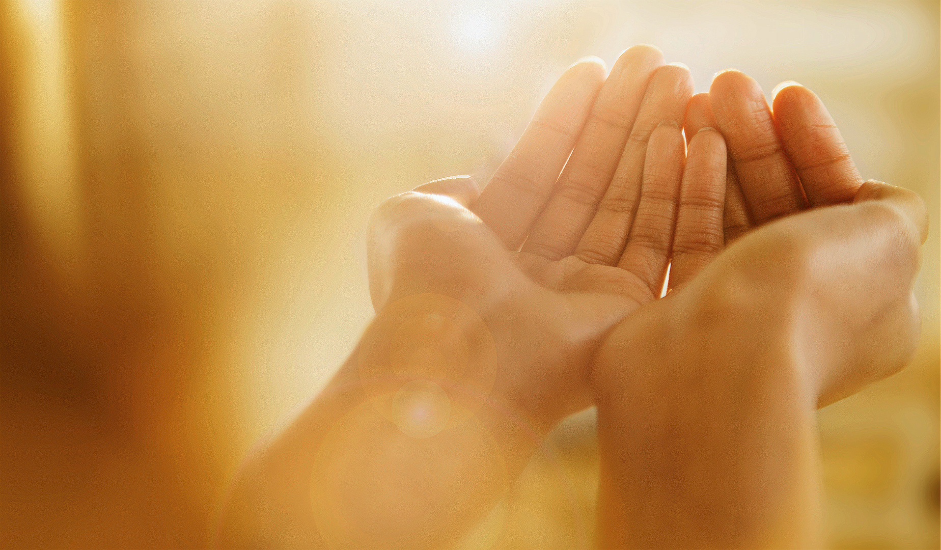 Imagem de capa - "A minha única vontade era morrer para acabar com todo meu sofrimento"