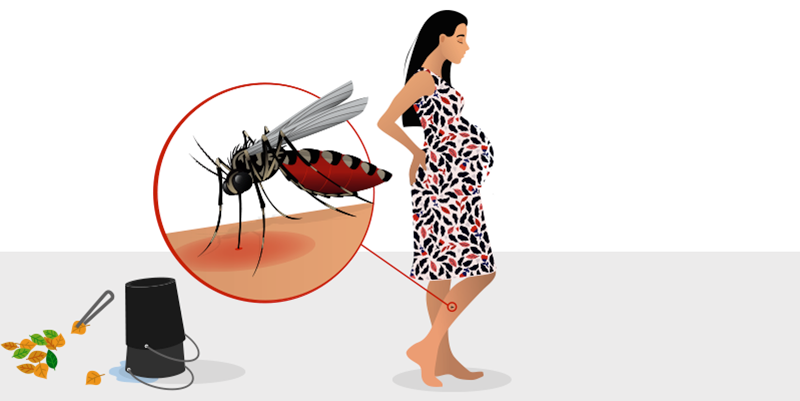 Imagem de capa - O que você faz para combater o aedes aegypti?