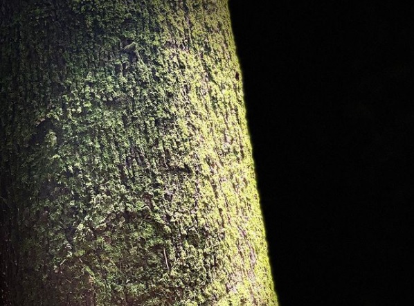 Se seremos odiadas por todos_Cristiane Cardoso