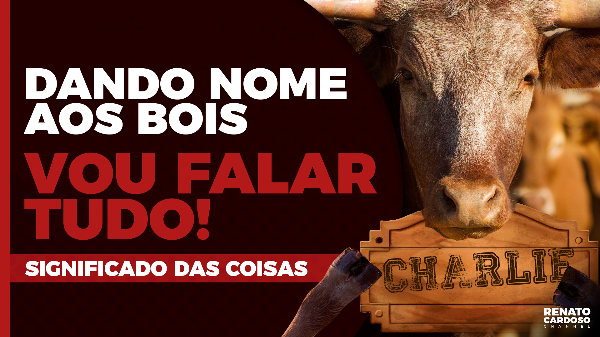 Imagem de capa - #455 Dando nome aos BOIS. Vou falar TUDO (SIGNIFICADO DAS COISAS)