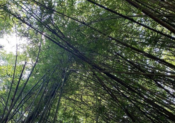 Pensai nas coisas que são de cima_Cristiane Cardoso