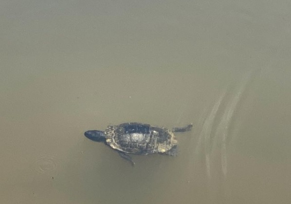 Quando a pessoa vida pela emoção_Cristiane Cardoso