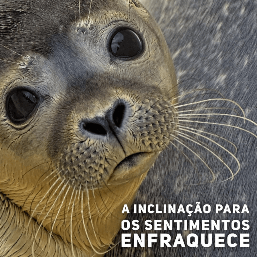 não invista neles_blog Cris