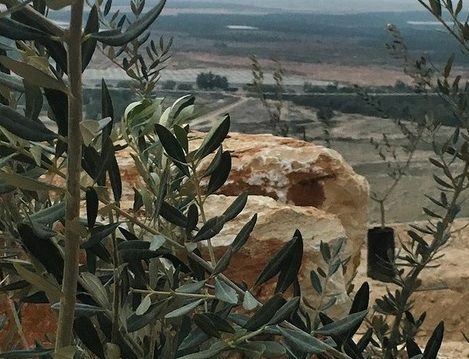 não se afaste de Deus