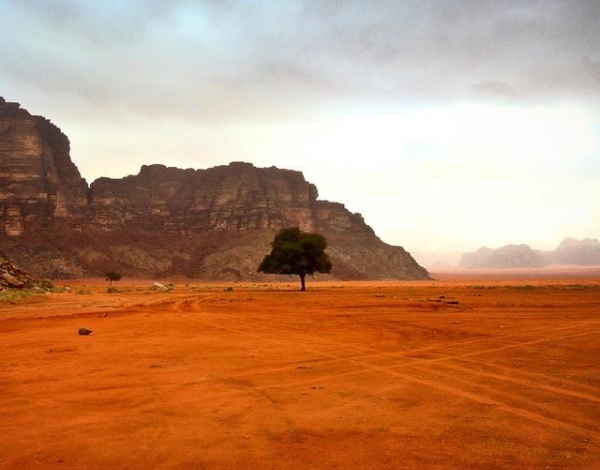 Qual tem sido a sua cruz_Cristiane Cardoso