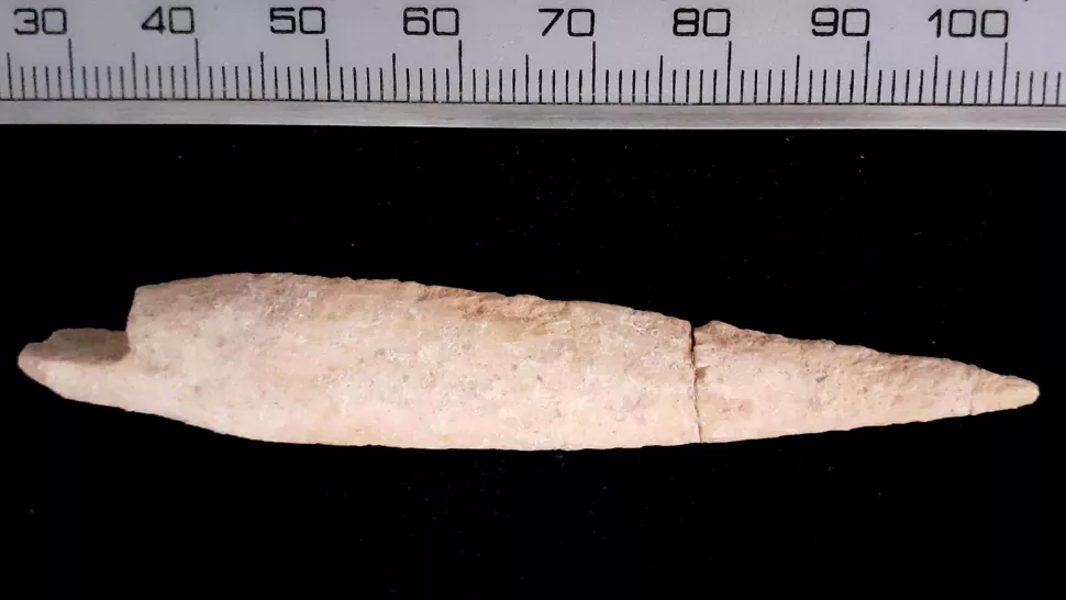 Imagem de capa - Arqueólogos encontram ponta de flecha na cidade natal de Golias