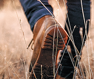 Donde vens e para onde vais?