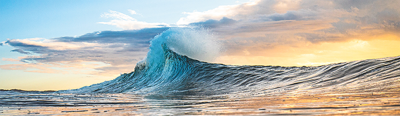 Imagem de capa - Quem tem sede, vá às águas