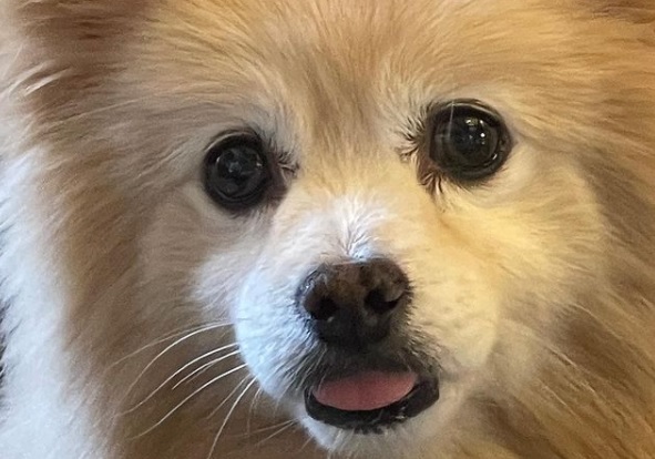 Quem julga_Cristiane Cardoso