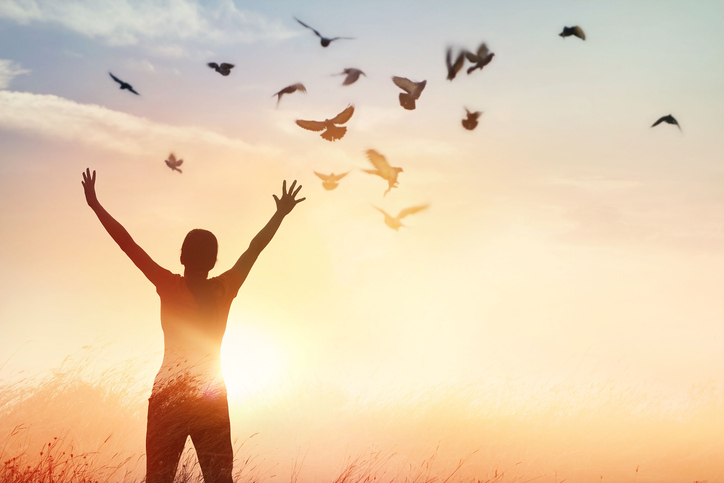 Woman praying and free bird enjoying nature on sunset background, hope concept