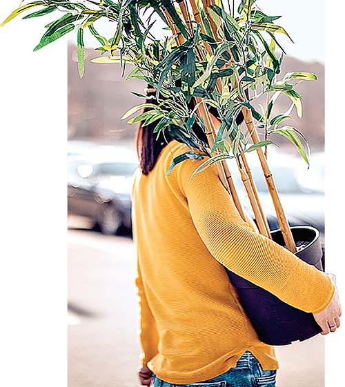 Woman walking across store parking with potted plant in hand