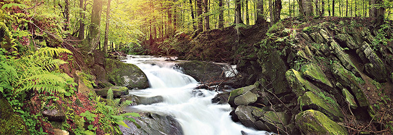 Waterfall on the Mountain Stream located in Misty Forest