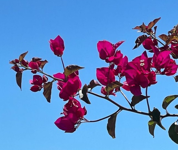 como receber o Espírito Santo