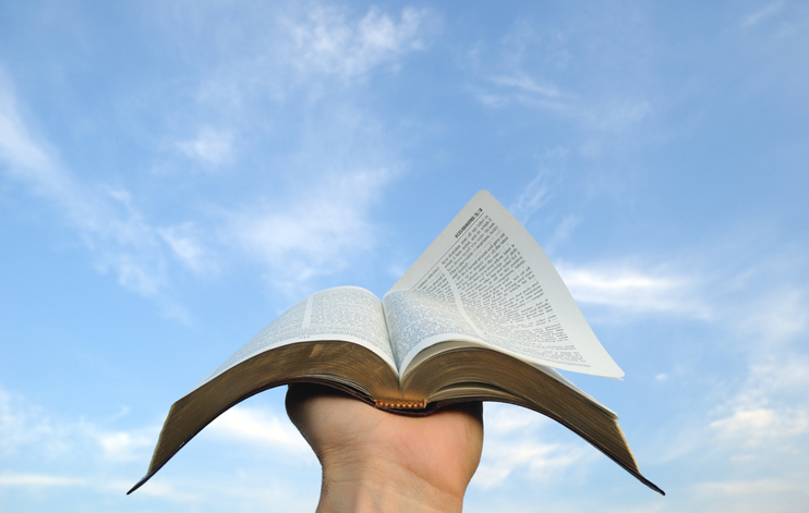 Hand Holding Bible