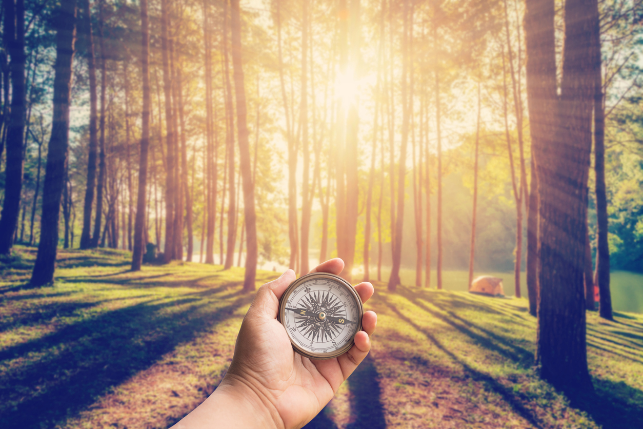 Hand man holding compass at larch forest with sunlight and shadows at sunrise with vintage scene.