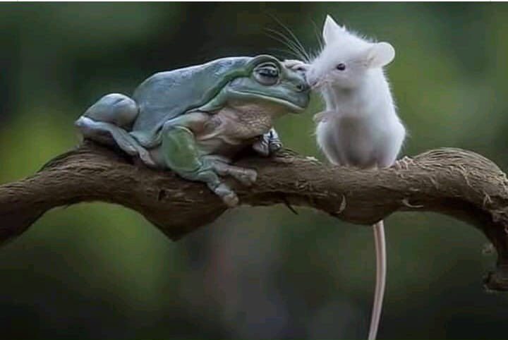 Imagem de capa - Hard Times