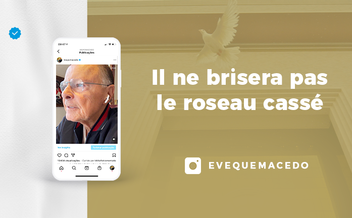 Blog_BM_roseau cassé