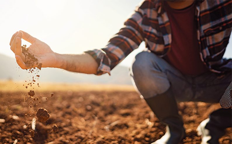 Imagem de capa - Reforma agrária: a incoerência da esquerda